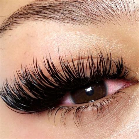 I don't have the words to express how confident my lash extensions make me feel. My stylist really knew how to make me look great. Eyelash Extensions Clearwater, FL. Amazing Lash Studio Tri-City Plaza 5020 East Bay Drive, Clearwater, FL 33764. Call (727) 456-5098 for an appt.